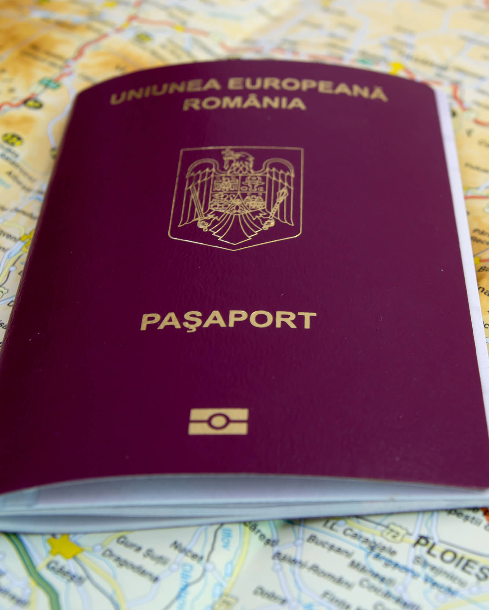 maintain House Cupboard Pașaport românesc și buletin de identitate - Certificat.md